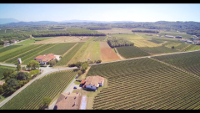 Cormòns terra di vino e di pace